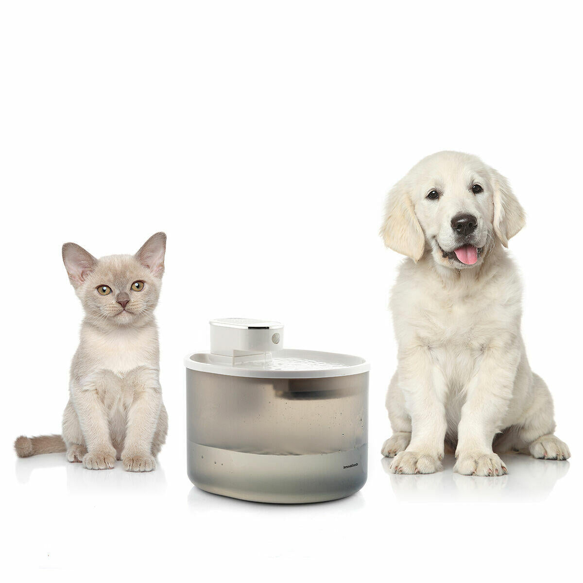 Fuente para Gatos