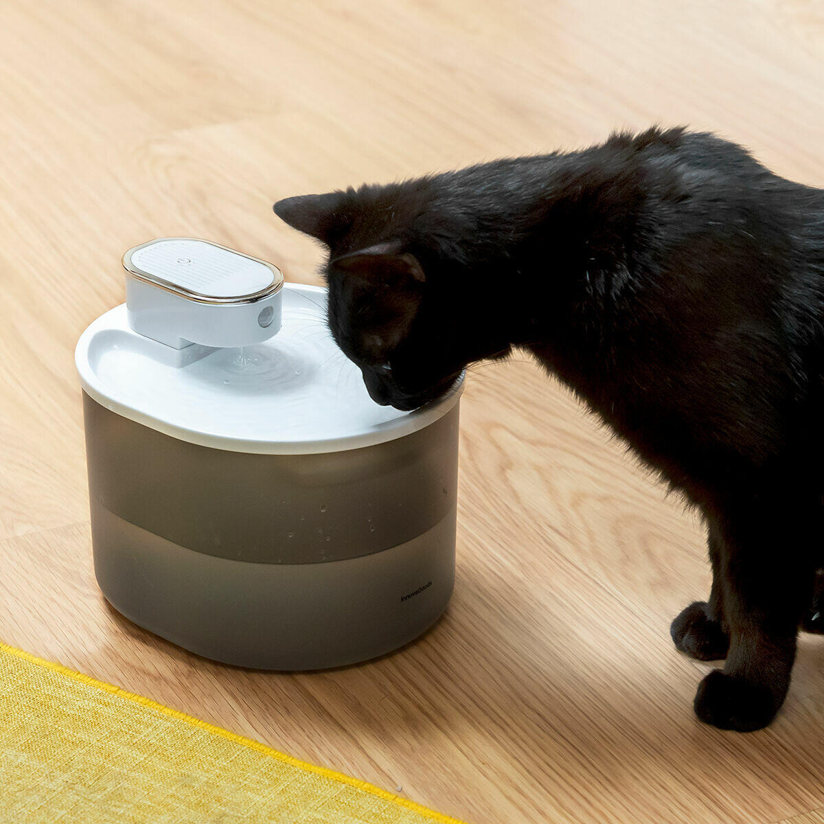 Fuente para Gatos